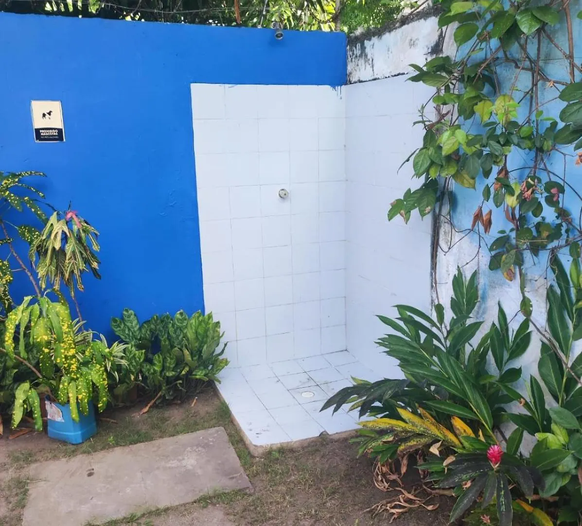 La Casa Azul Apartment Cartagena Homestay