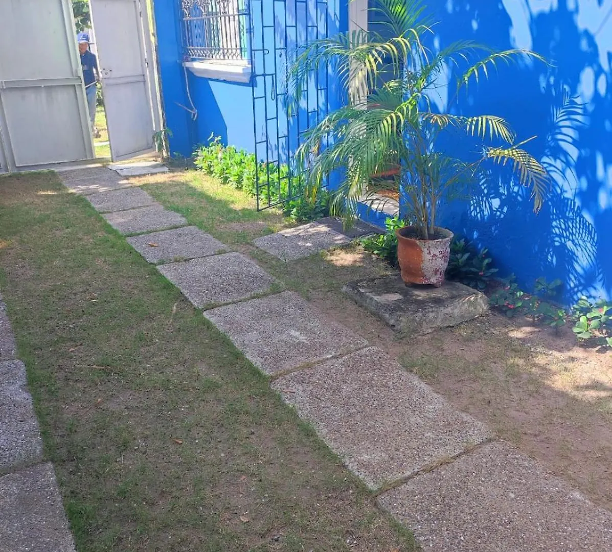 Homestay La Casa Azul Apartment Cartagena Colombia